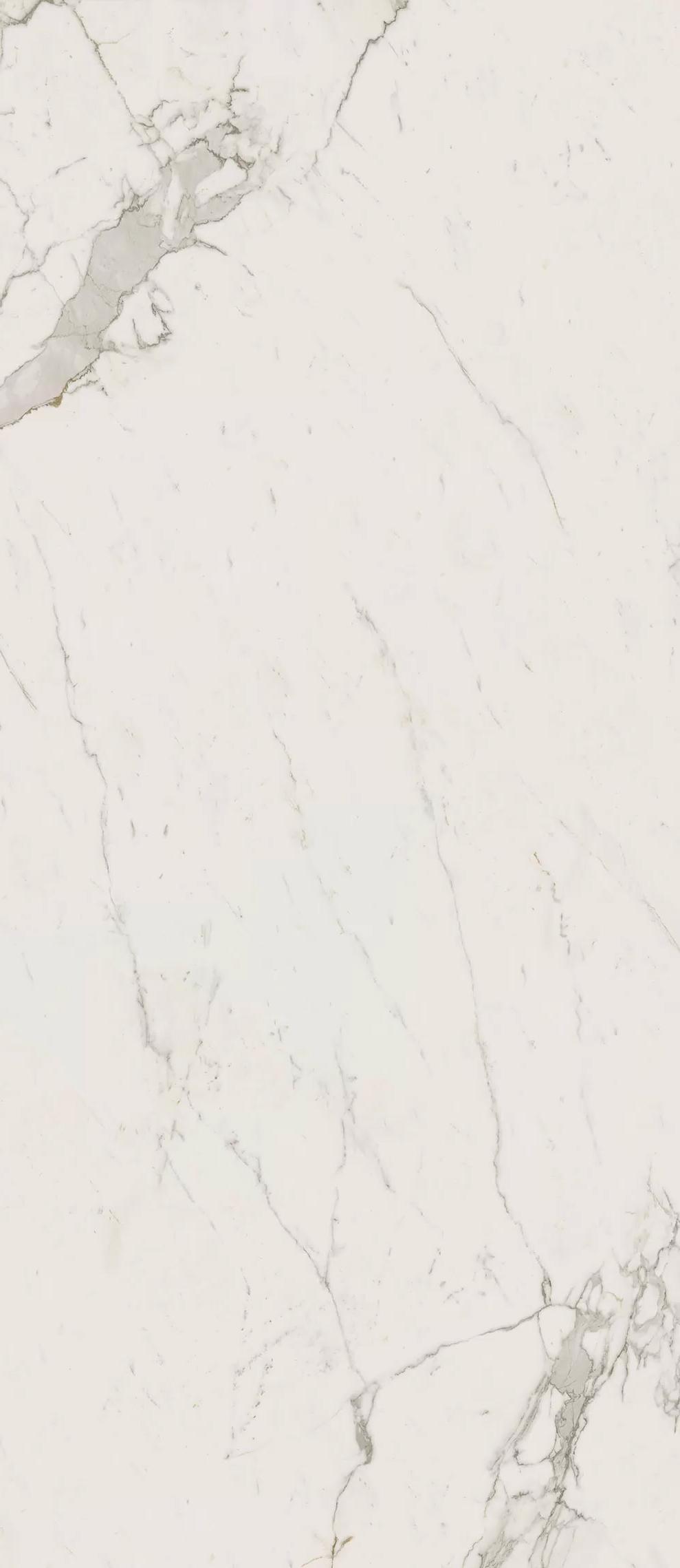 Marvel Calacatta Extra ZZ 120x278