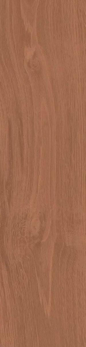 Аргания коричневый матовый 9,9x40,2x0,8