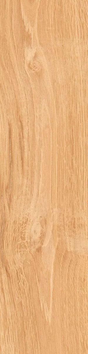 Аргания бежевый матовый 9,9x40,2x0,8