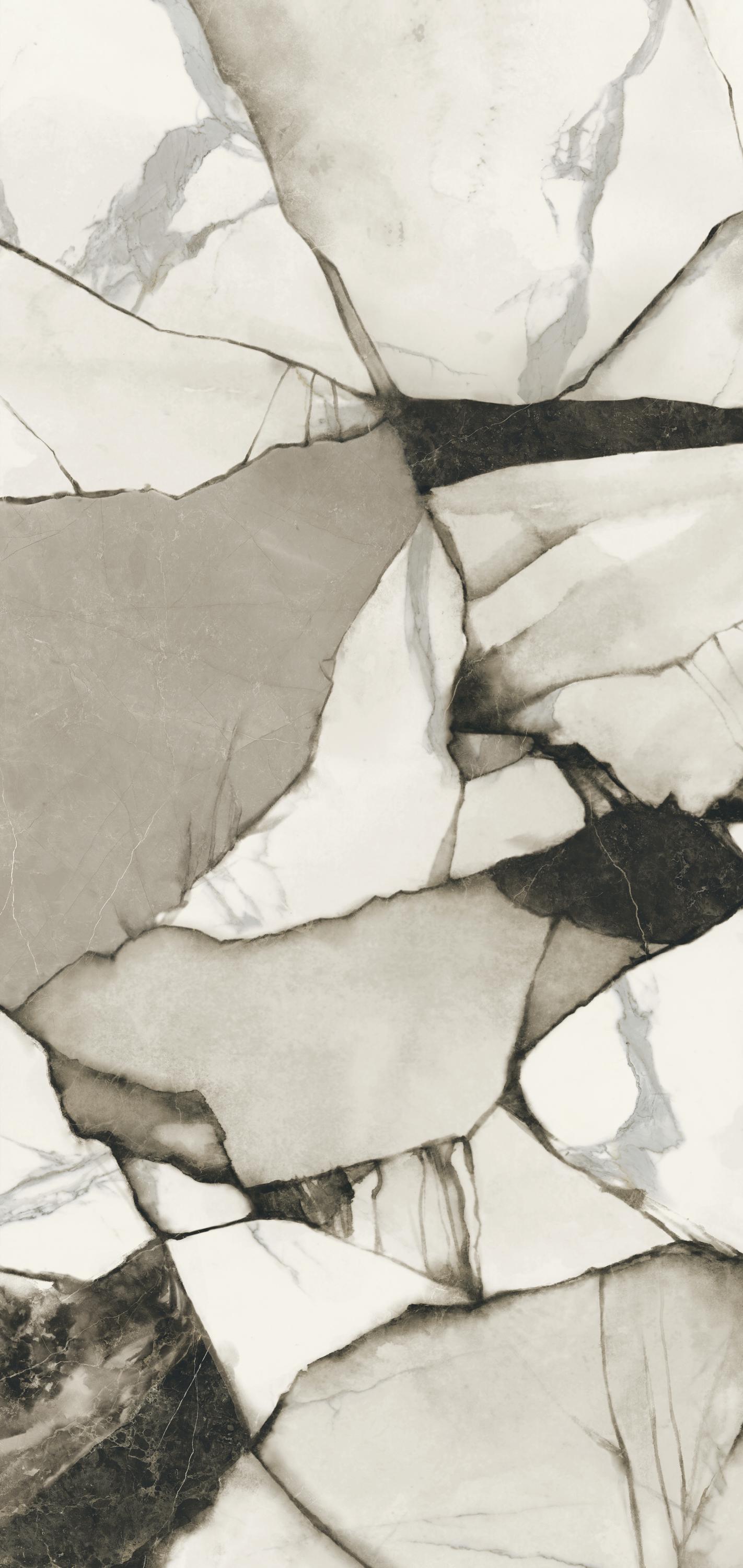 HBO 6 Bloom   Shine rett. XX 120x260