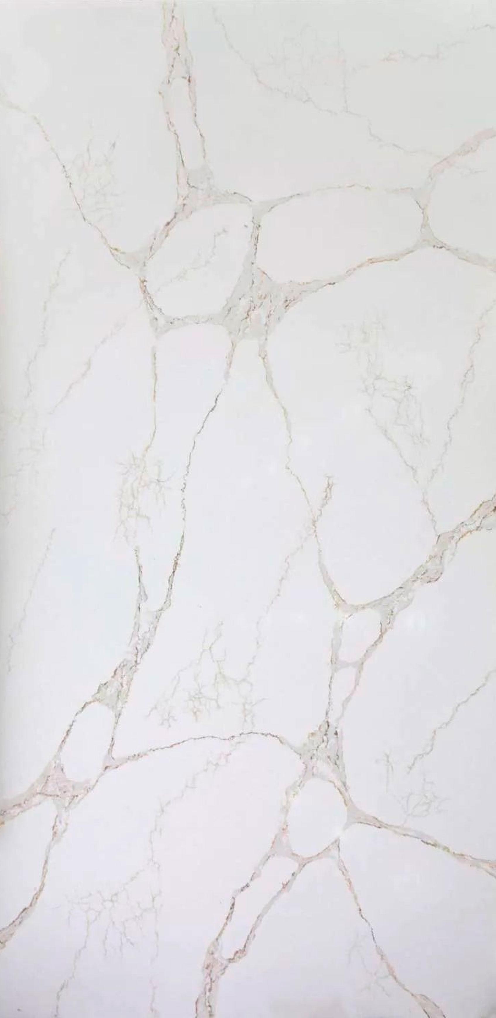 C4221 Athena 330x165x2