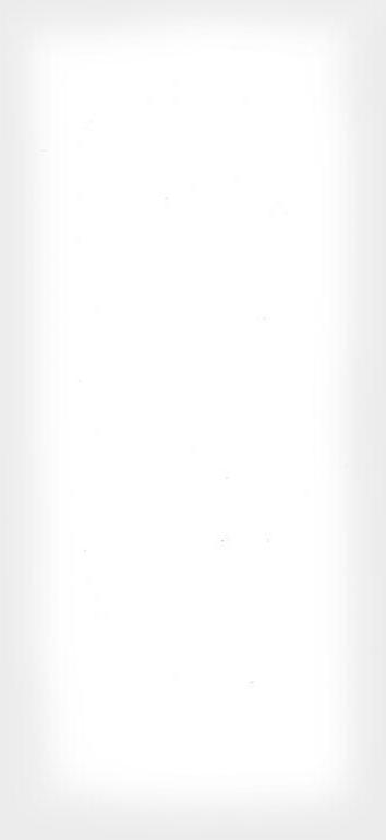 12 Vega 2 cm XX |140x305