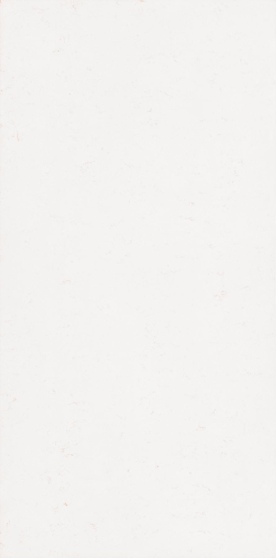 Carola 20/A 310x152x2