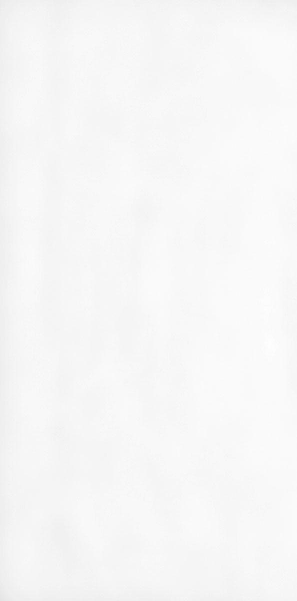 Polaris 20/A 310x152x2