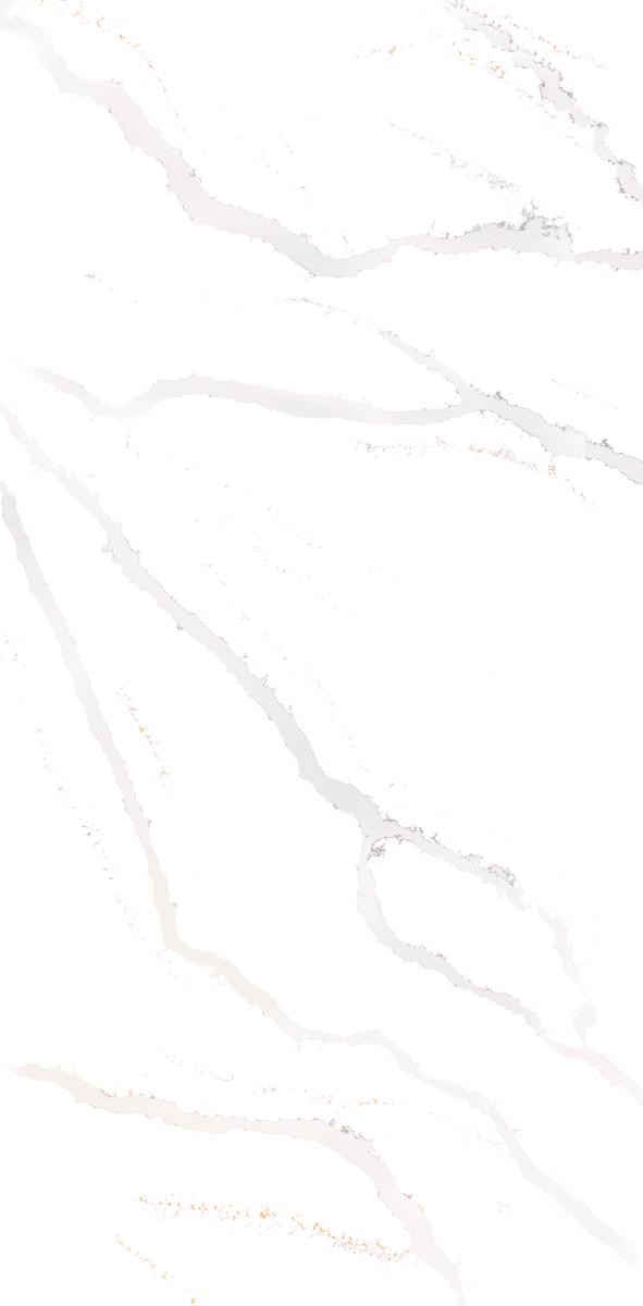 1219Z-Calacatta Victory 310x152x2