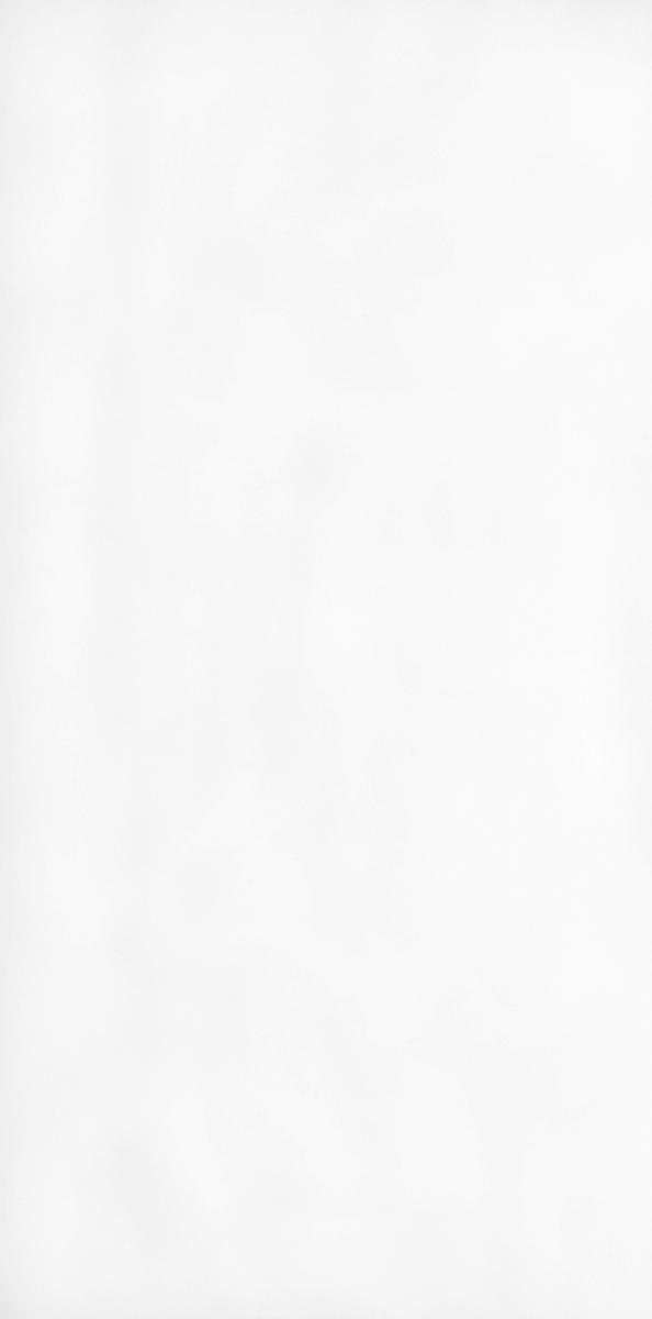 Кварцевый агломерат 3110 (A) Polaris Belenco 305x140x2 (Турция)			