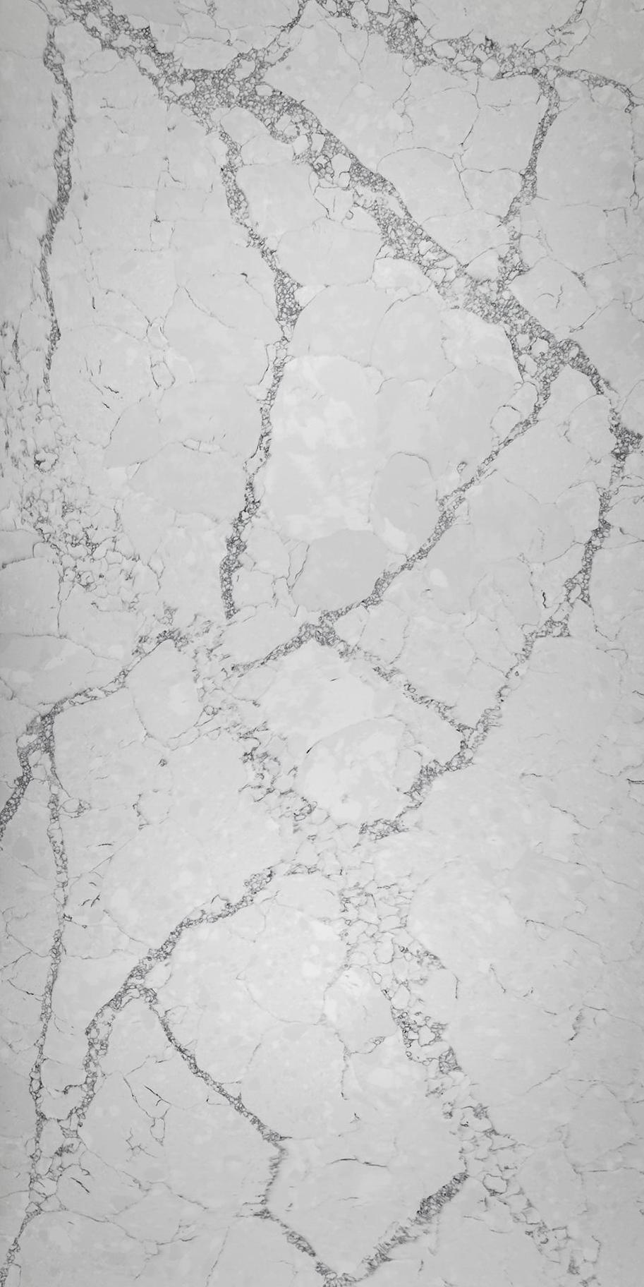 Arabescato Grigio Pol 20 мм 160x320