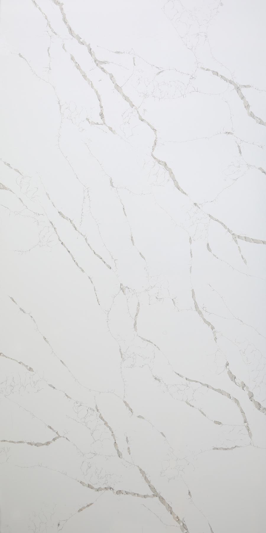 C4211 Calacatta Supreme  330x165x2