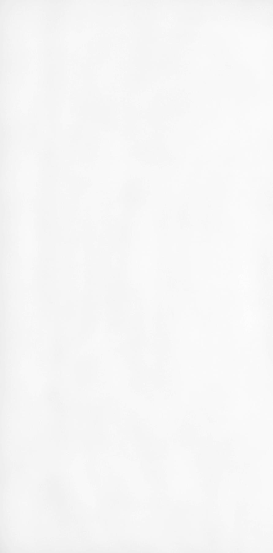 Polaris JUMBO 20/A 330x165x2