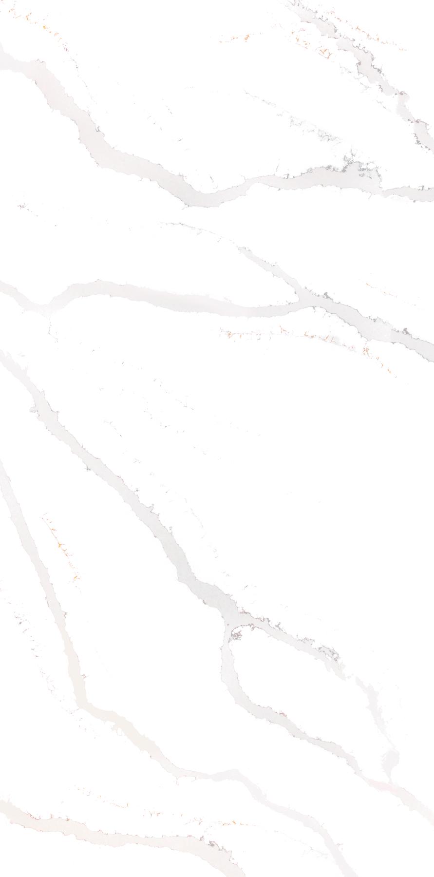 Calacatta Victory 20/A 310x152x2