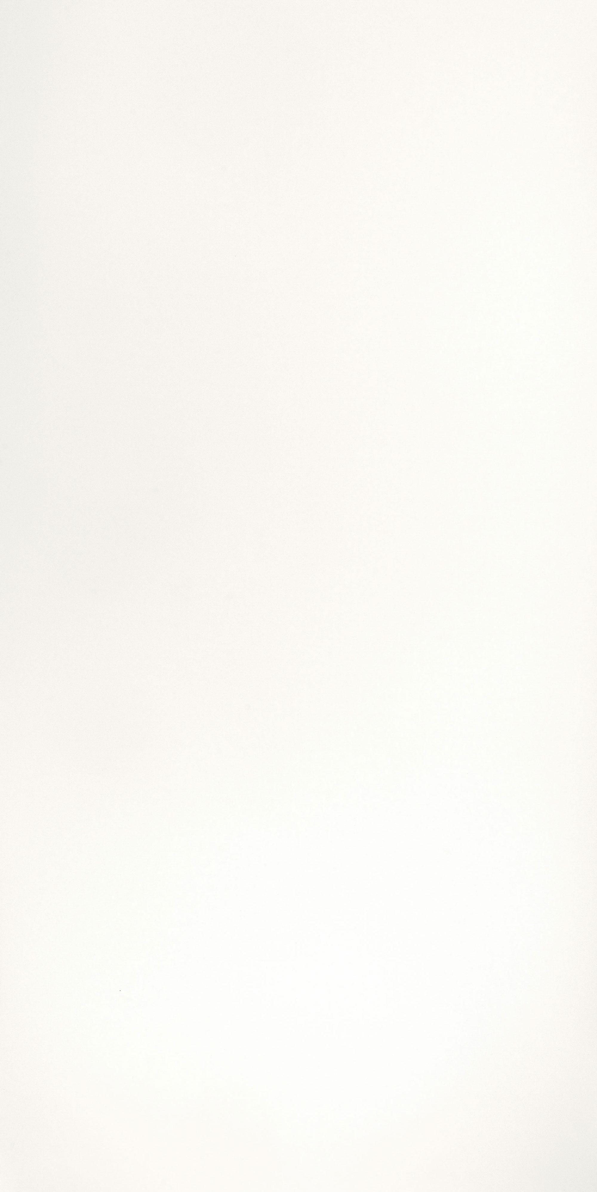 CRYSTAL POLAR WHITE 20 156 P-1|318,5x155x2