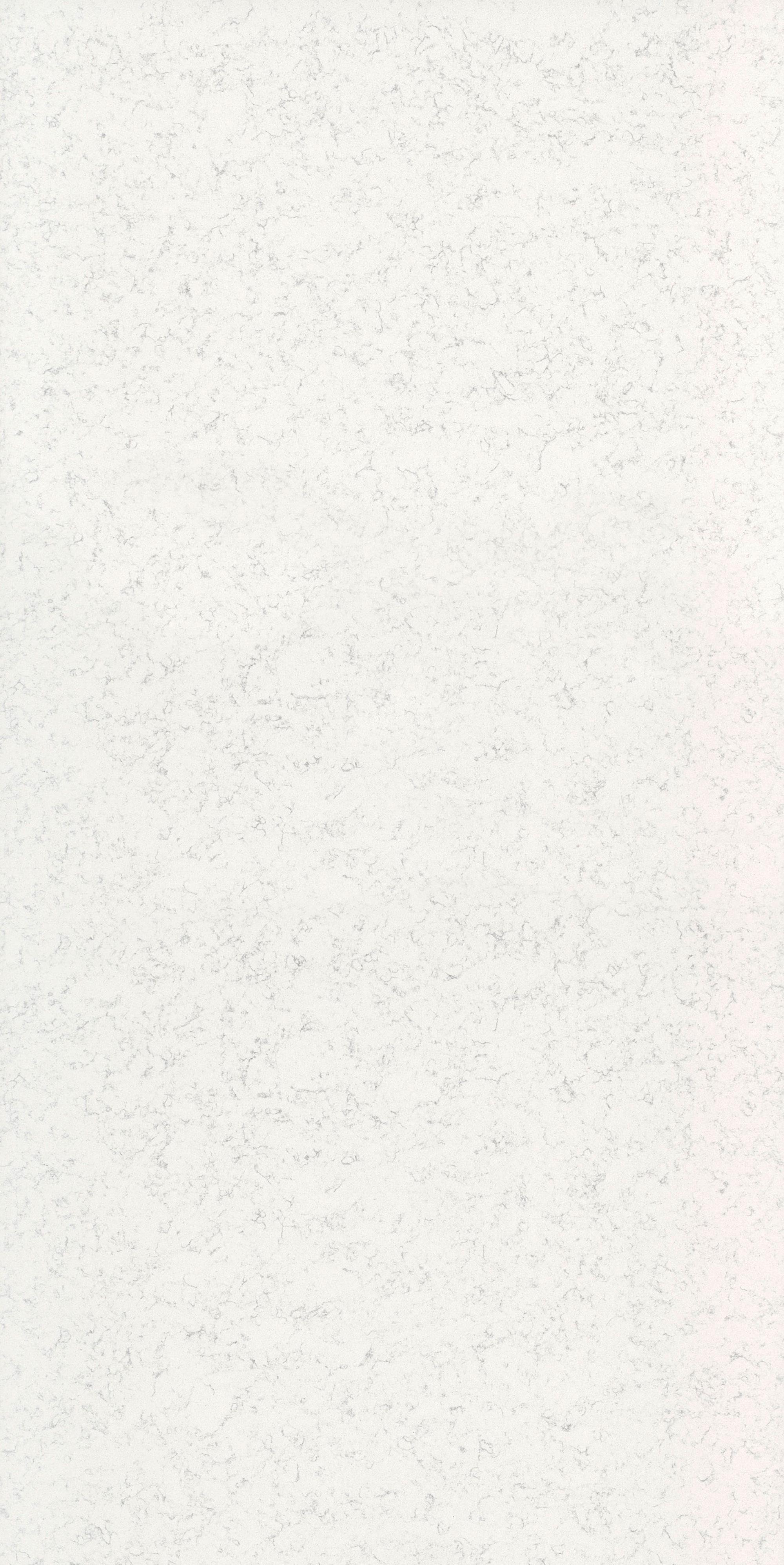 BRILLIANT ARABESCO 20 156 LE-1  pol. |318,5x155x2