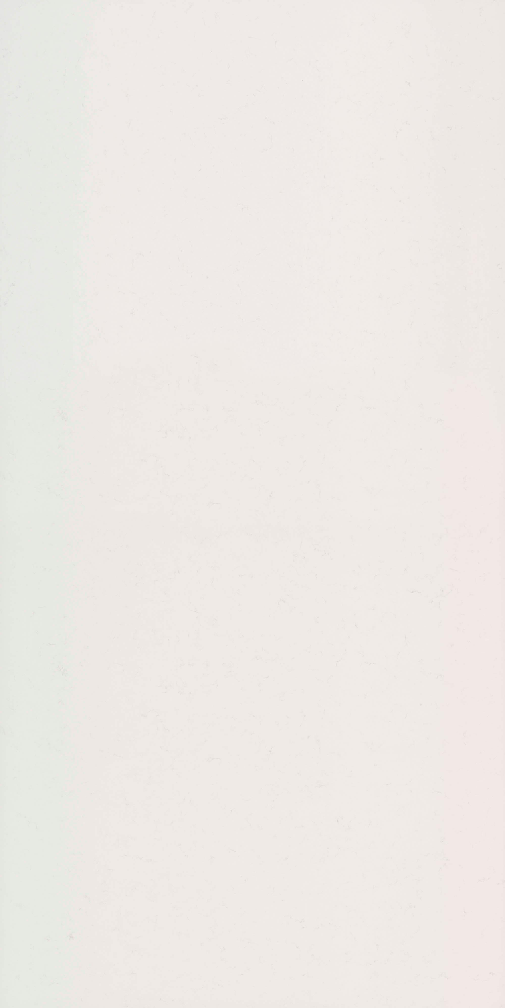 NOBLE SUPREME WHITE  20 156 LE-1 pol. |318.5x155x2