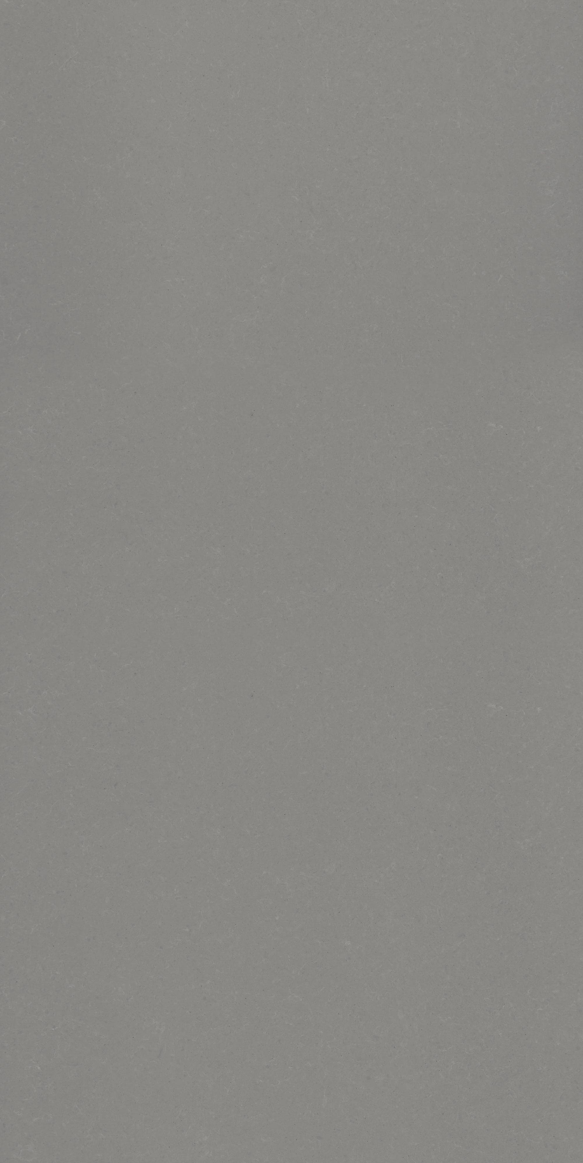 NOBLE CONCRETE GREY 20 156 LE-1 pol. |318.5x155x2