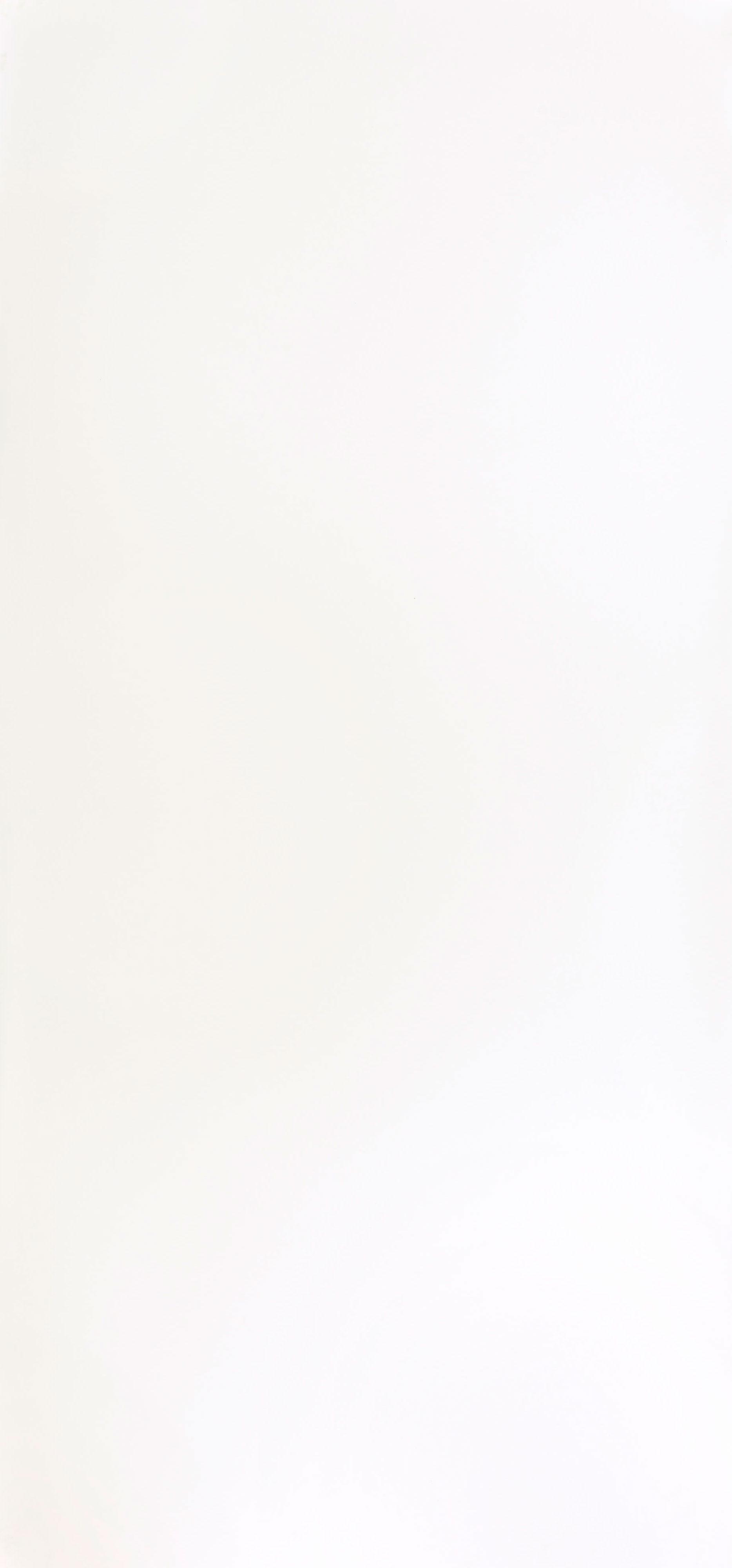 CRYSTAL ABSOLUTE WHITE 20 144 mat.  XX|305x144x2