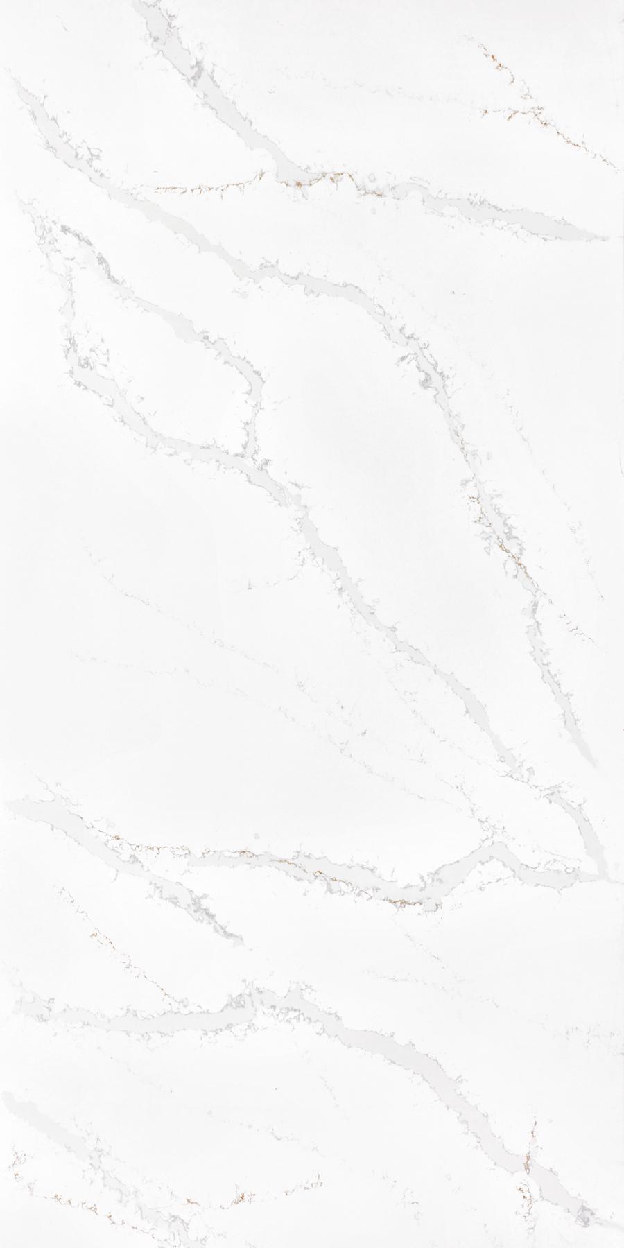 Calacatta Victory JUMBO 20/A 330x165x2