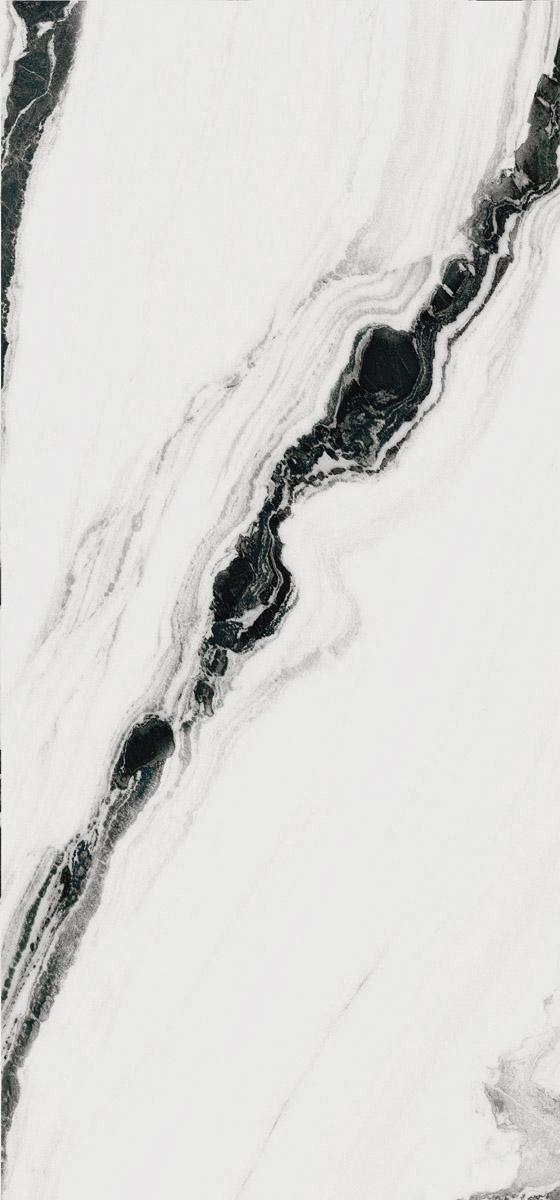 PAN WH6 260 LP   120x260 XX