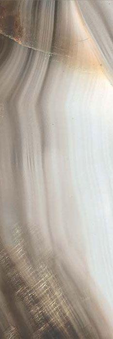 Alabastro Bamboo Glossy XX |80x240