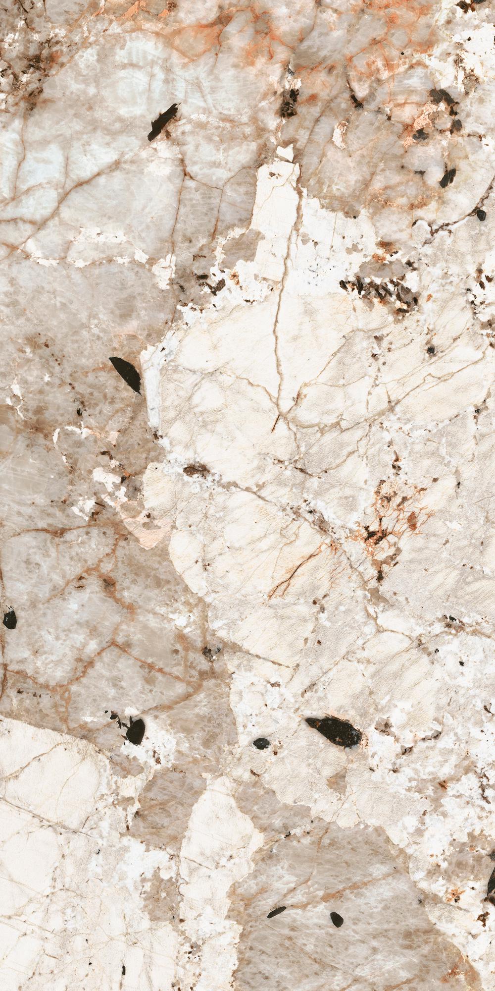 Tundra Glossy  ZZ 120x240