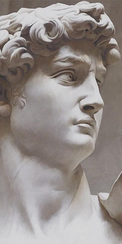 Ковер Давид 2 матовый обрезной 119,5x238,5