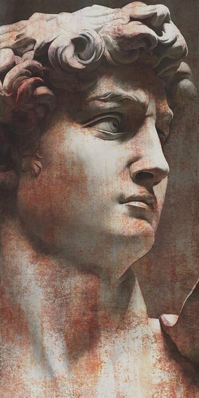 Ковер Давид 1 матовый обрезной 119,5x238,5