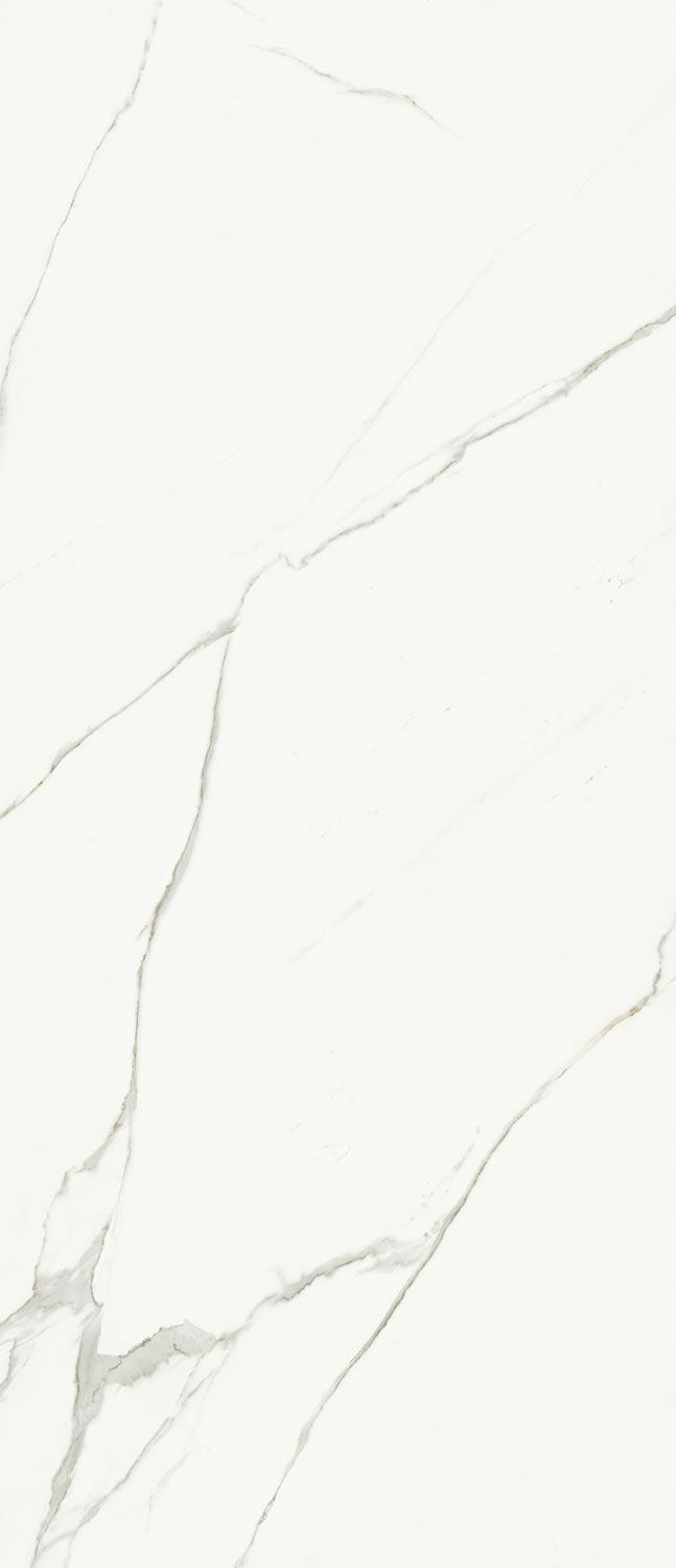 AE EXT6 278 LP  ZZ ( п.п.) 120x278