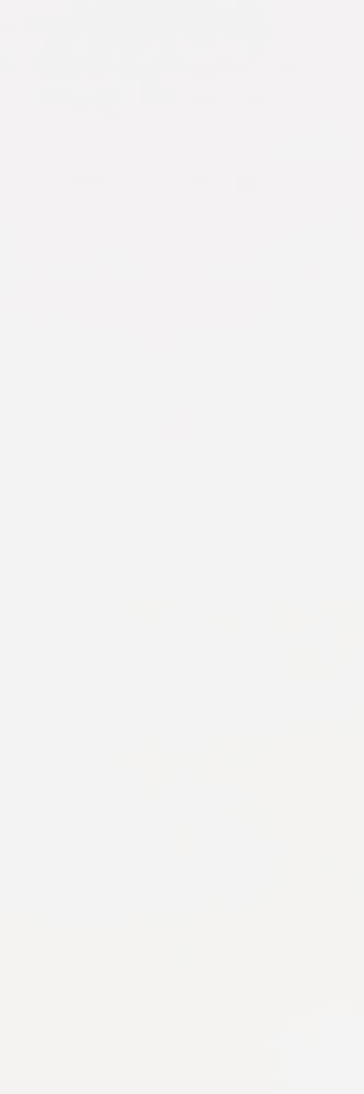 Total white 5plus lev ZZ| 100x300