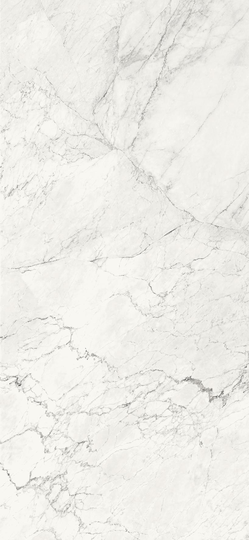 AE CAL6 260 LP |120x260