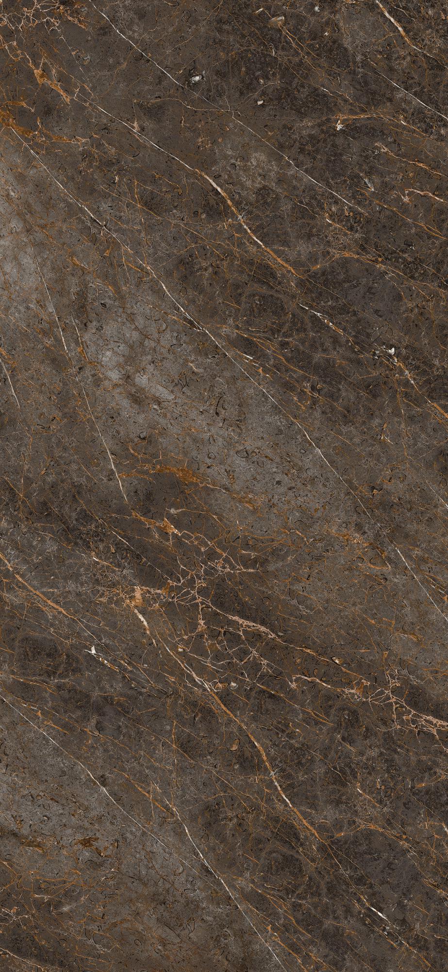 AE GOL6 260 LP  XX 120x260