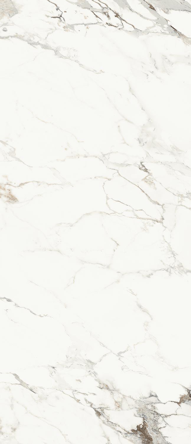 AE CAP6 278 LP  ZZ ( п.п.) 120x278