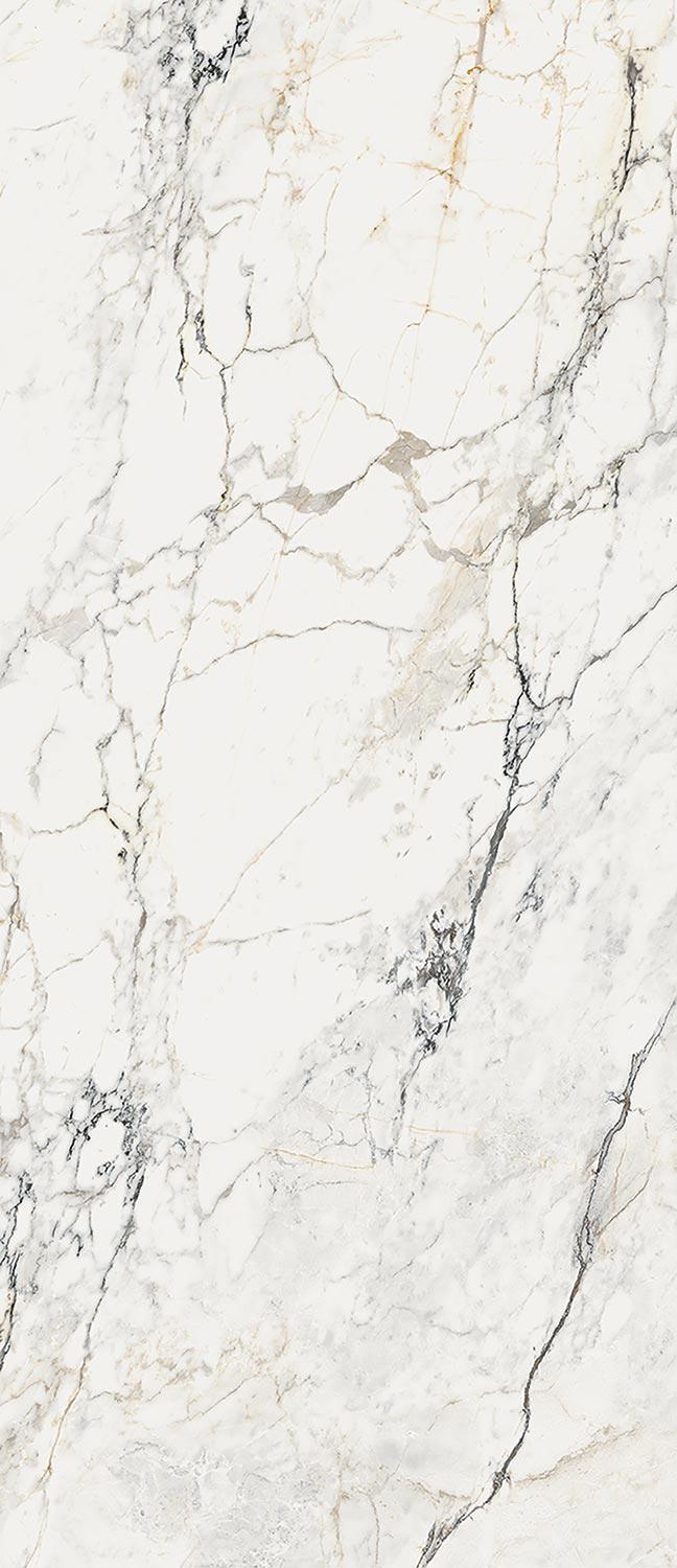 AE PAO6 278 LP 120x278