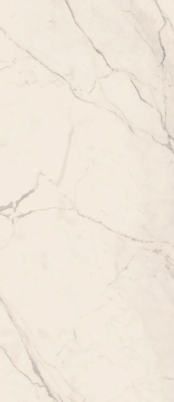 TREX6 278W RM (п.п.) ZZ 120x278