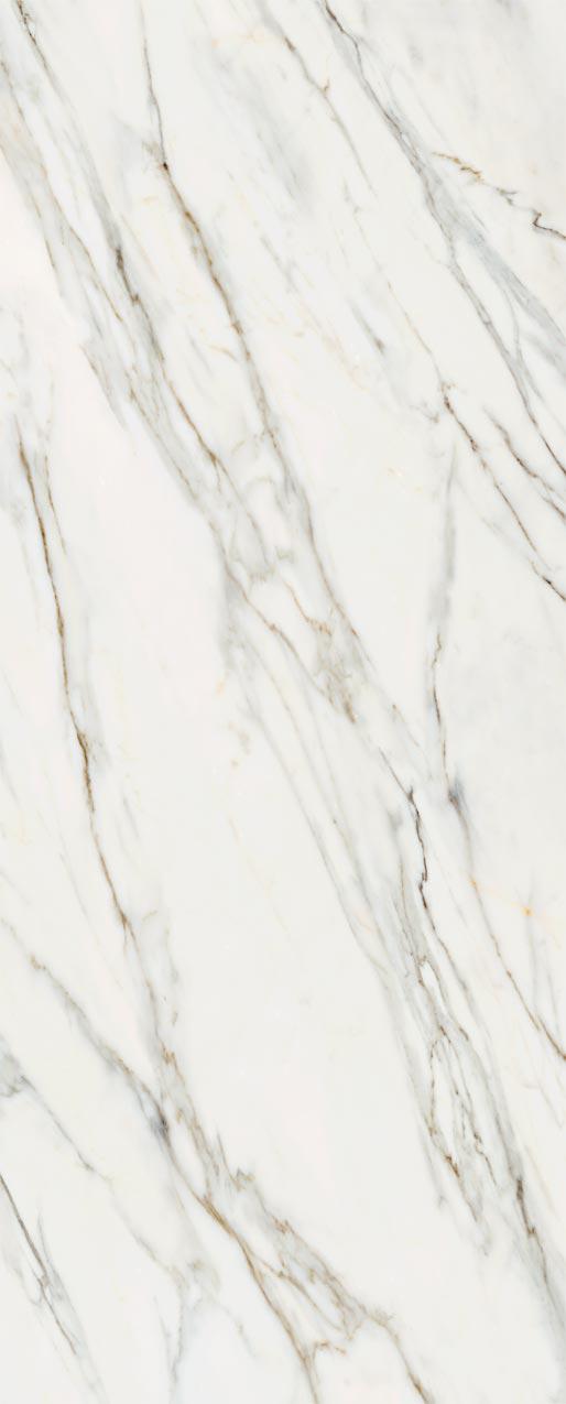 Calacatta Gold ZZ 5,6 120x300