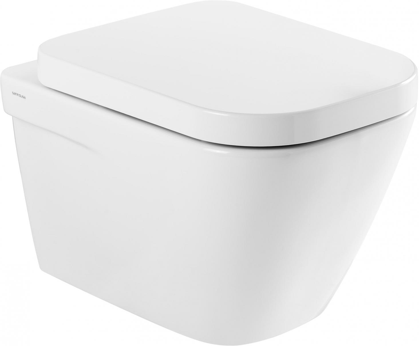 Унитаз подвесной компактный 50x35см, безободковый Rimflush, скрытый крепёж, без сиденья, Look ZZ