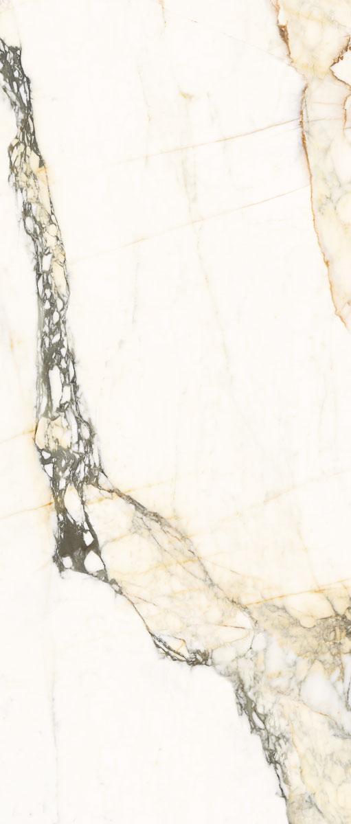 AE PAZ6 278 LPM  120x278