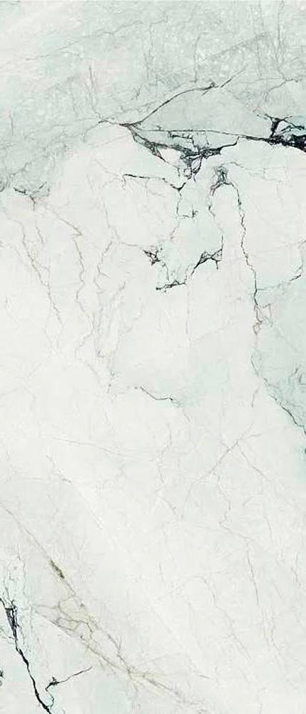 AE CAM6 278 LPM 120x278