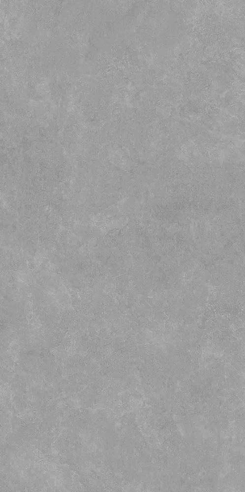 Про Стоун серый матовый обрезной 119,5x238,5