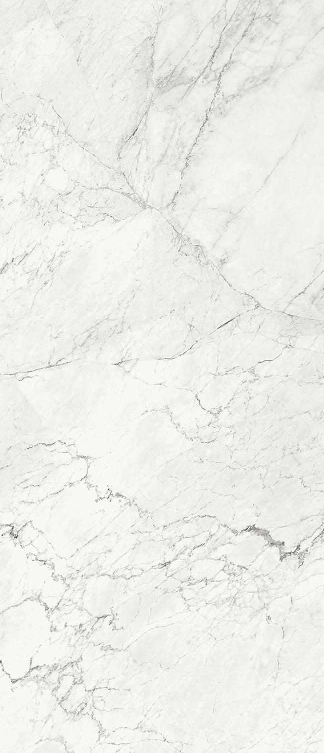 AE CAL6 278 LP 120x278