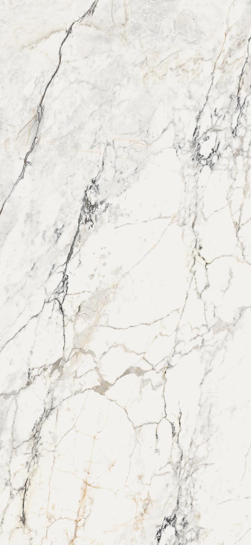 AE PAO6 260 LP |120x260