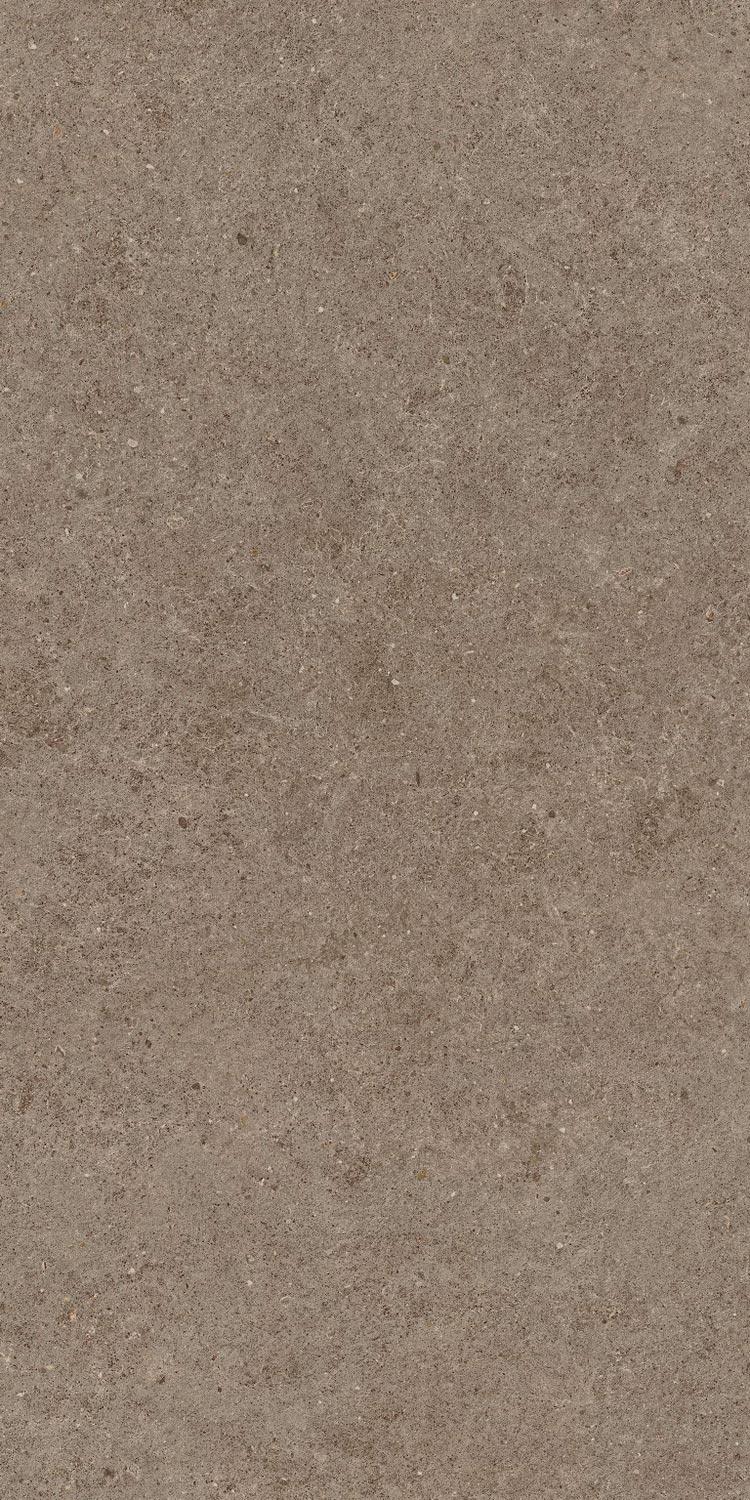 Boost Stone Taupe ZZ 60x120 
