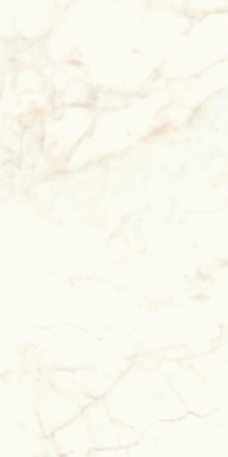 Marvel Calacatta Delicato Lappato|60x120