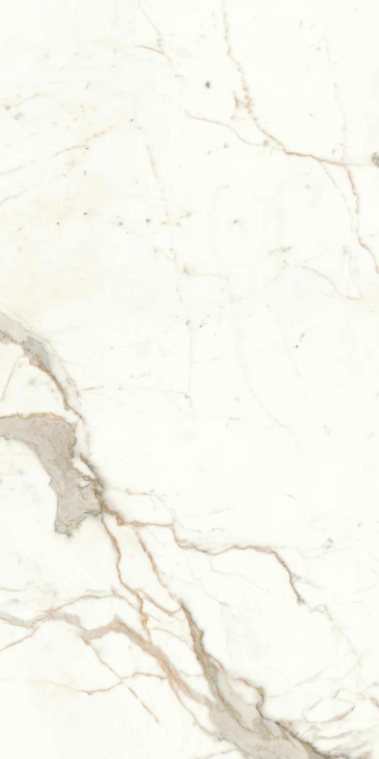 Marvel Calacatta Prestigio Matt |60x120
