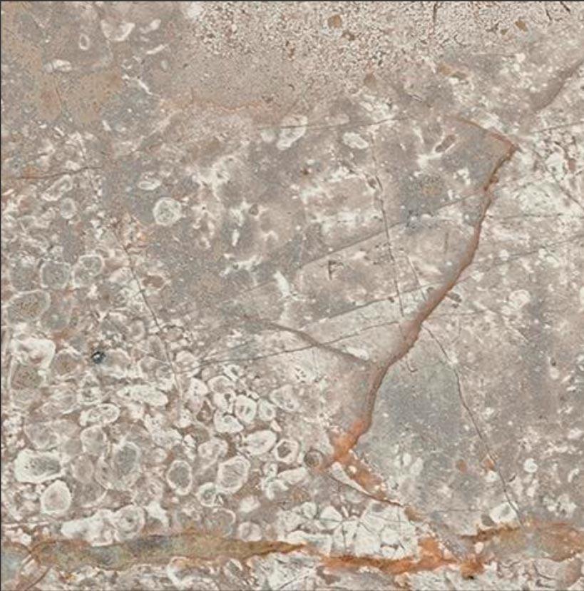 Empire Silver Root Bottone Lap/ЭМПАИР СИЛЬВЕР РУТ ВСТАВКА ЛАП 7,2x7,2