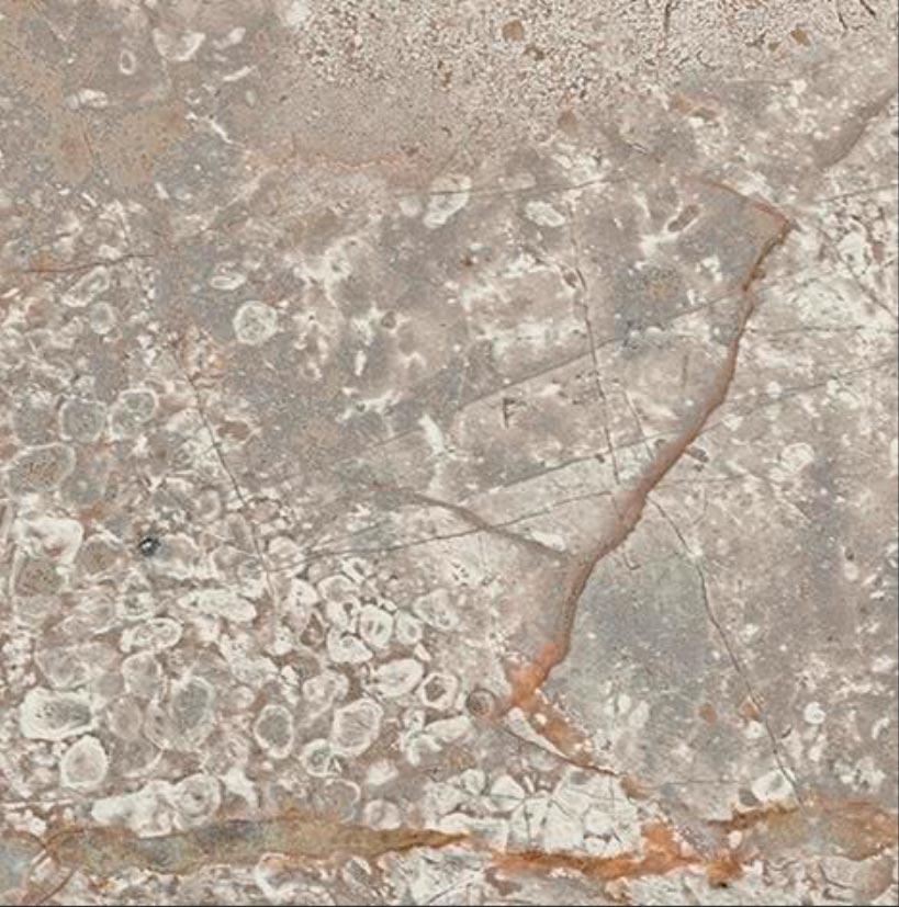 Empire Silver Root Bottone /ЭМПАИР СИЛЬВЕР РУТ ВСТАВКА 7,2x7,2