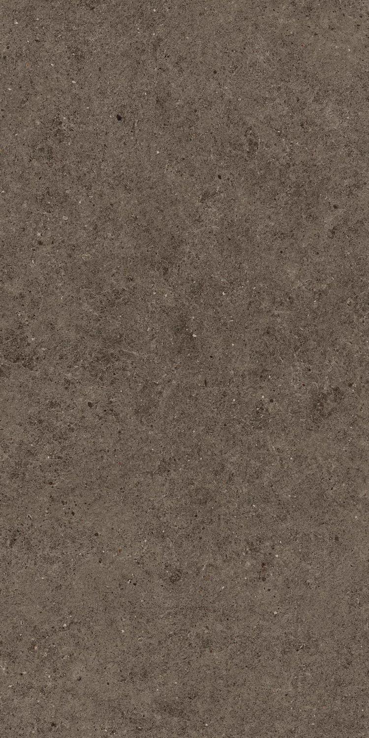 Boost Stone Tobacco ZZ 60x120 