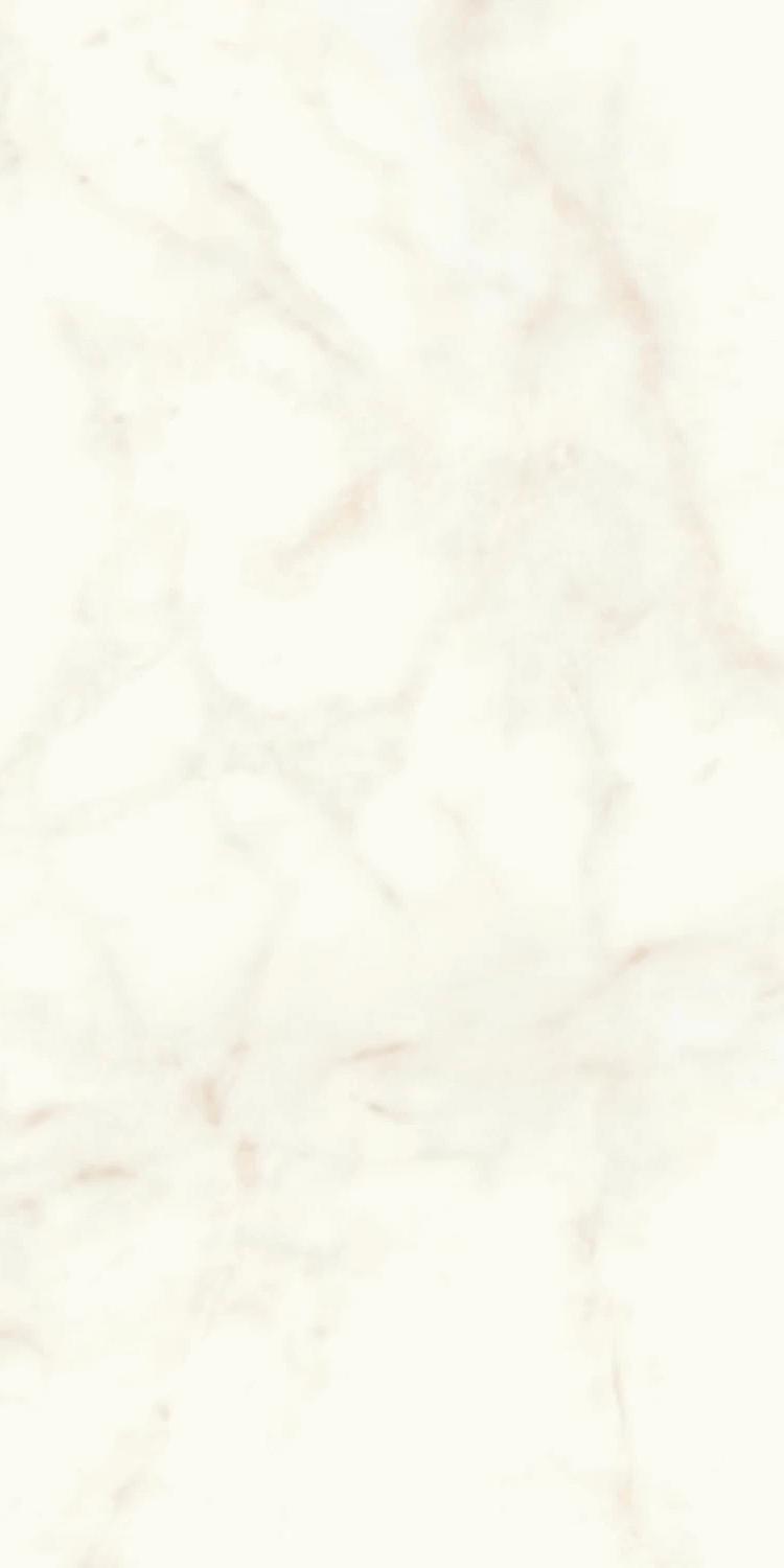 Marvel Calacatta Delicato Matt |60x120