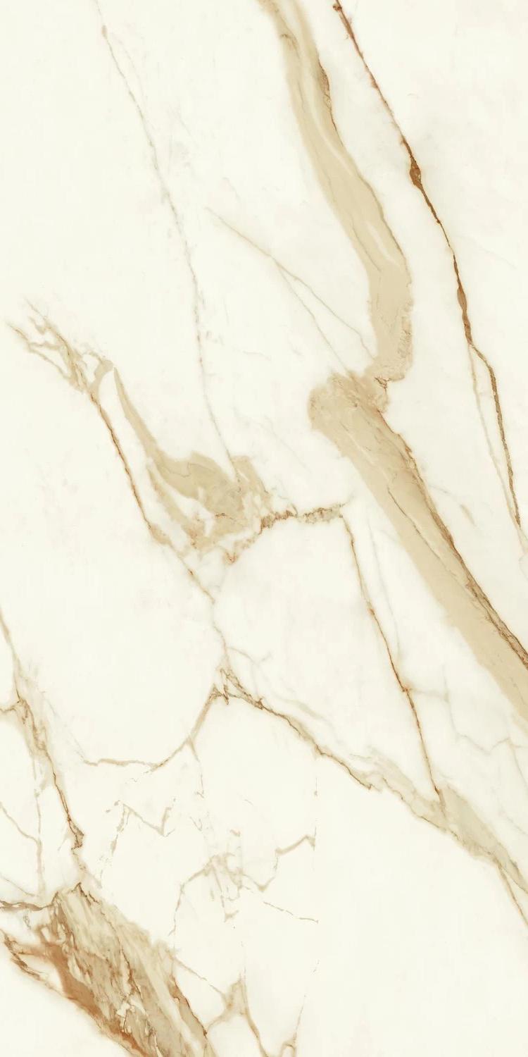 Marvel Calacatta Imperiale Lappato |60x120
