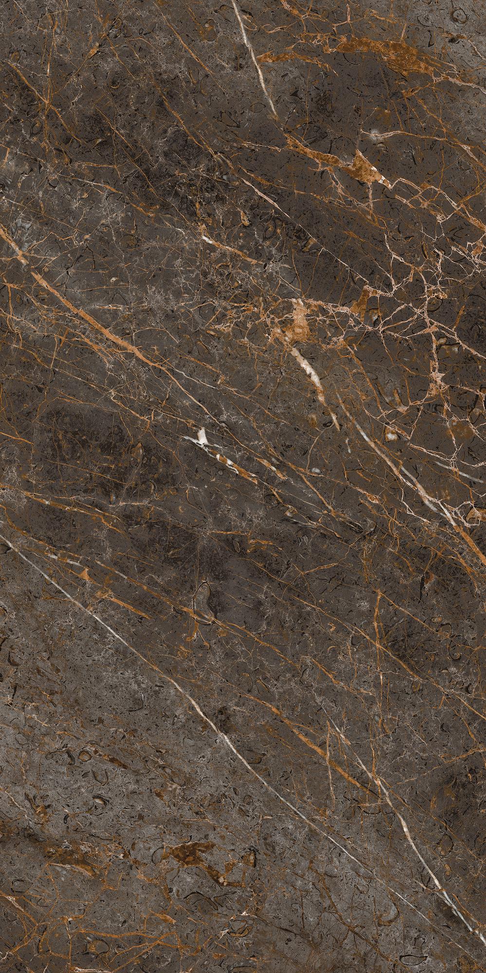 AE GOL6 12 LP 60x120