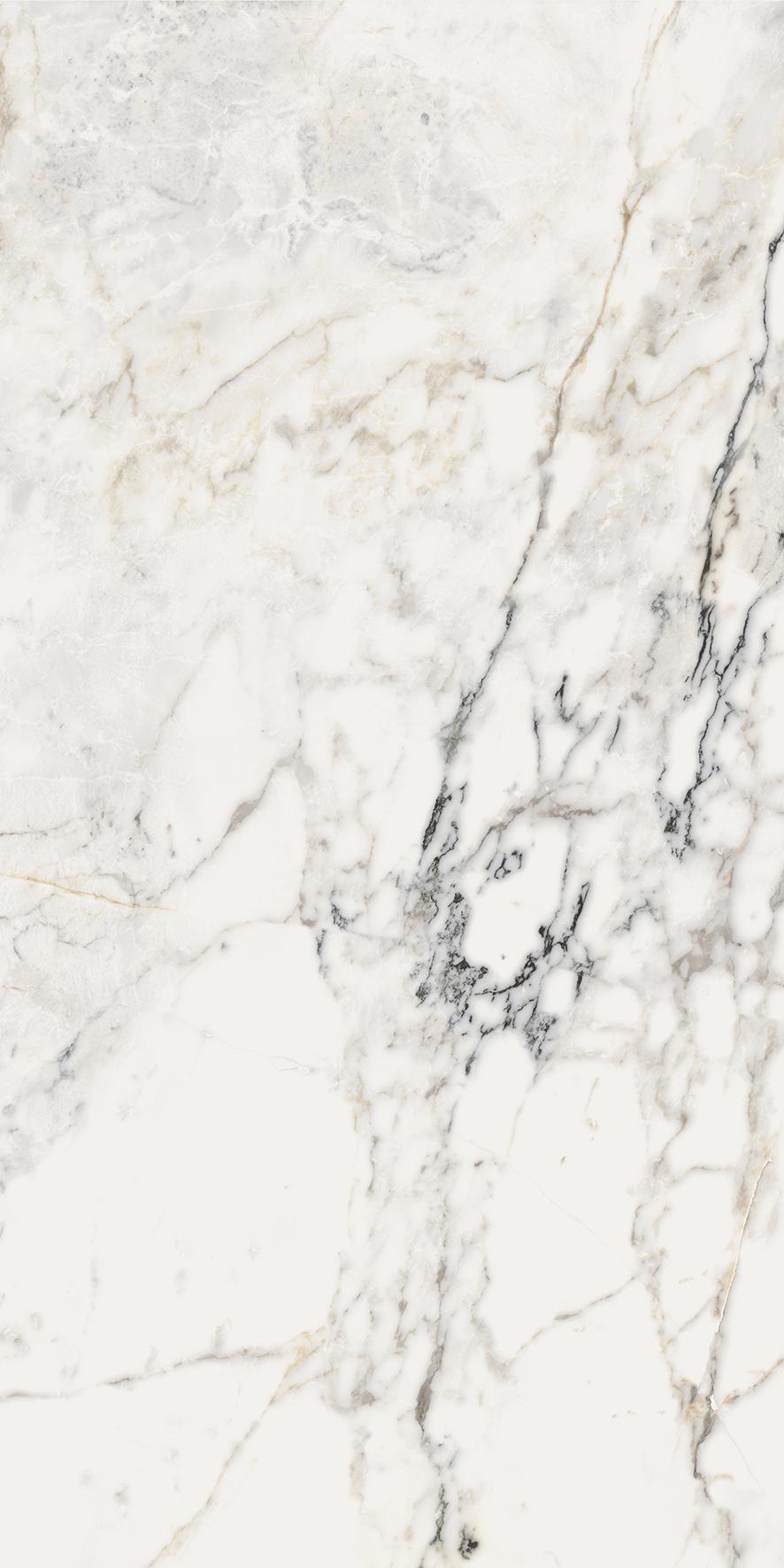 AE PAO6 12 LP |60x120