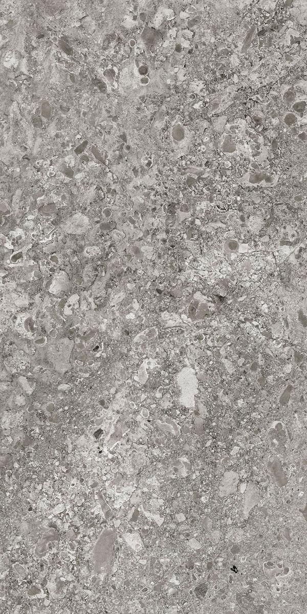 Граните Лунар Серый MR мат.60x120 XX